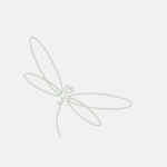Aanbod 4 Logo Suzanne Admiraal kopie