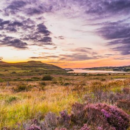 Summer Landscape in Scotland, UK Coaching, in gesprek met mooie natuur beelden